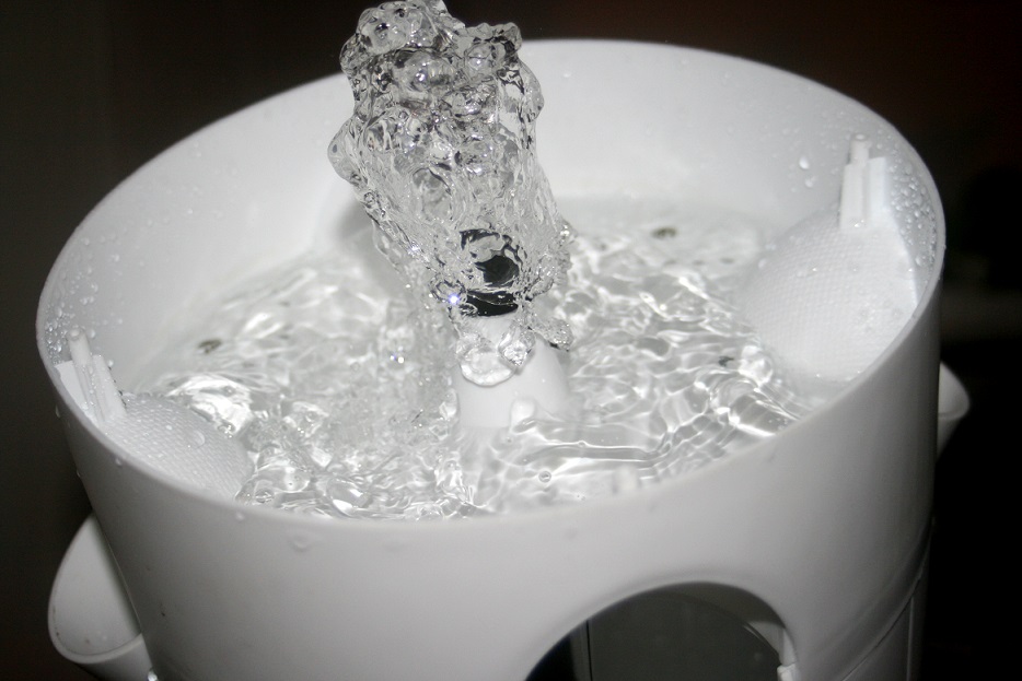 חשיבות המים בגידול הידרופוני