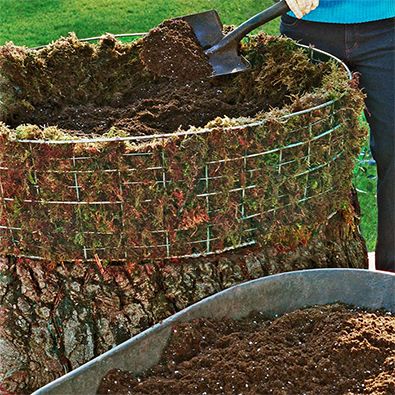 מלאו את הסל באדמה