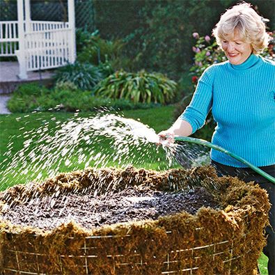 הרטיבו את הטחב על גדם העץ