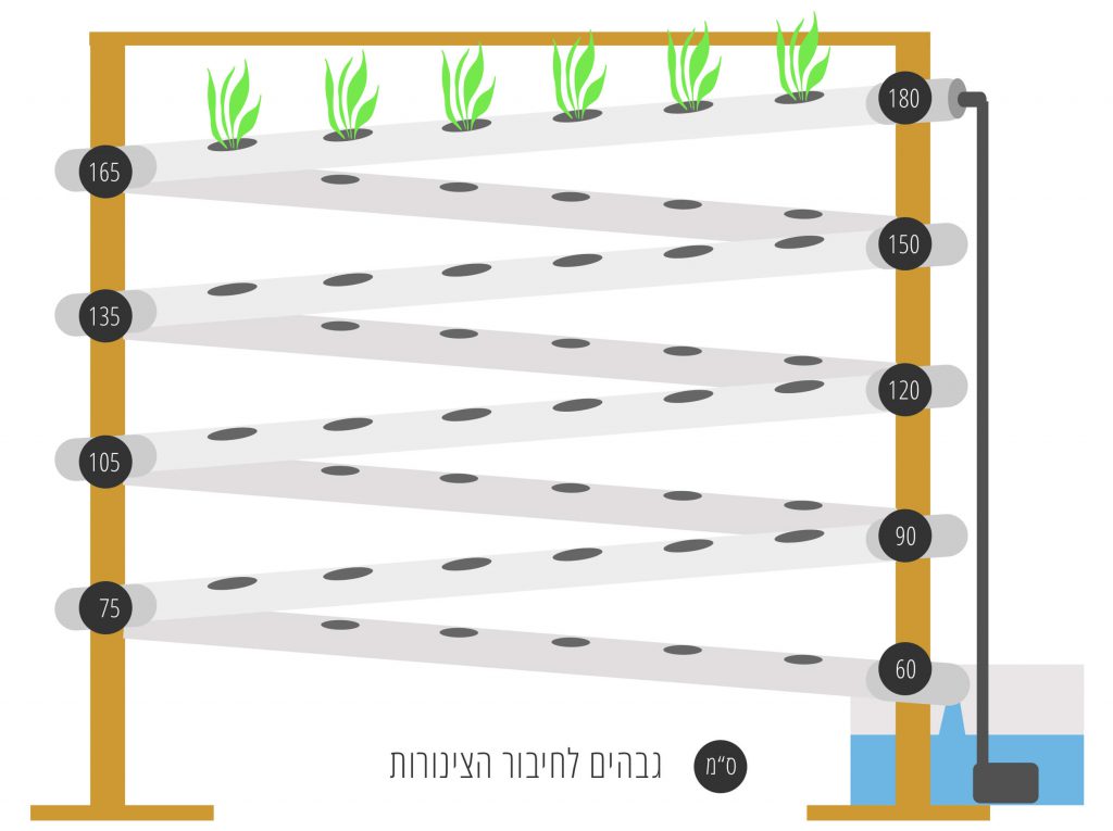 בניית מערכת הידרו לבית או לגינה לגידול צמחי מרפא, פירות, ירקות ועוד