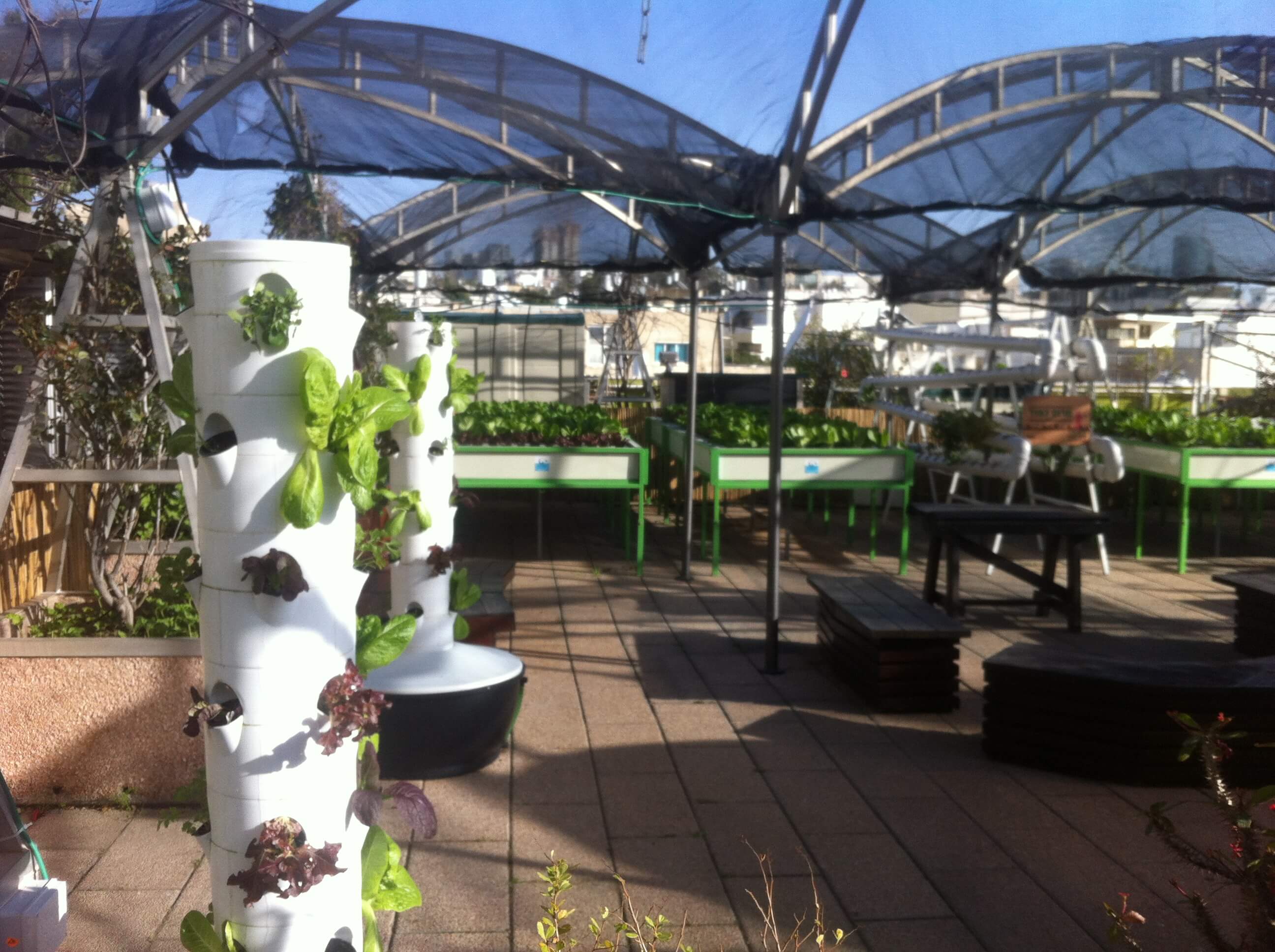 מערכות גידול הידרופוניות על גג הדיזינגוף סנטר