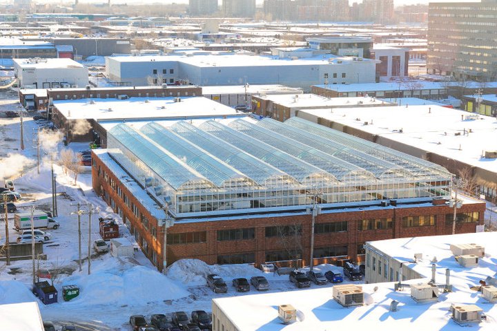 Lufa Farms חממות גידול הידרופוניות במונטריאול, קנדה 3