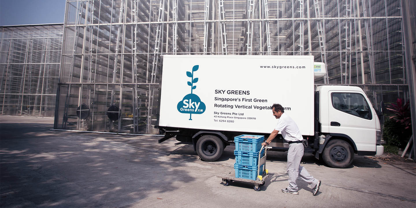 Sky Greens חווה אנכית בסינגפור 4