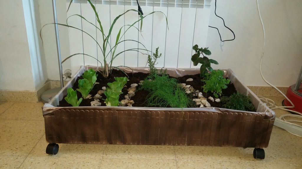 גינון אורבני מדריך גידול ירקות בבית