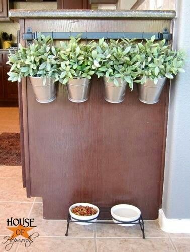 מדריך עשה זאת בעצמך גידול ירקות בבית קומות