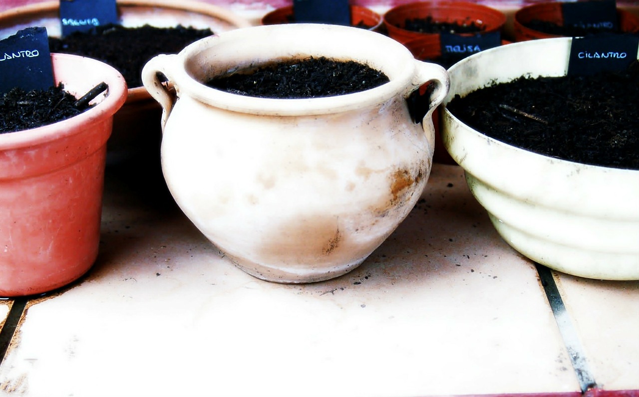 בחירת אדניות לגידול ביתי