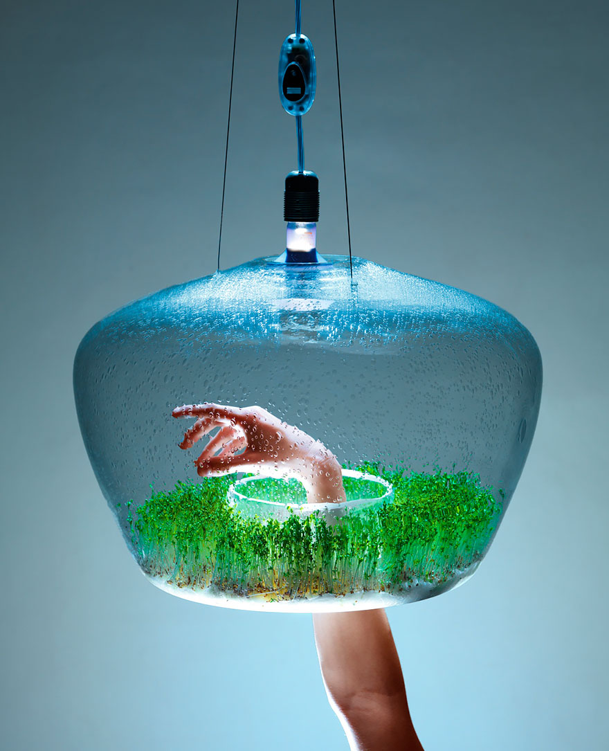 מנורה שמגדלת לך נבטים