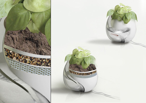 עציץ אקווריום אקוופופני