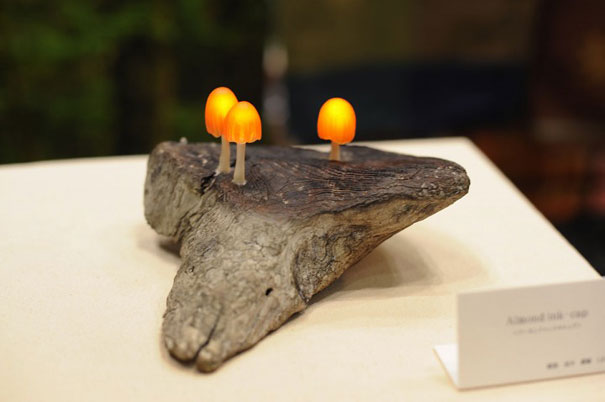 פטריות מאירות על עץ