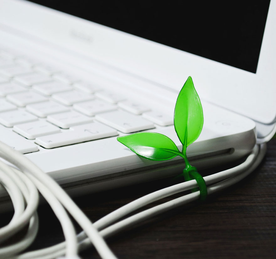 מאגד כבלים בצורת עלה