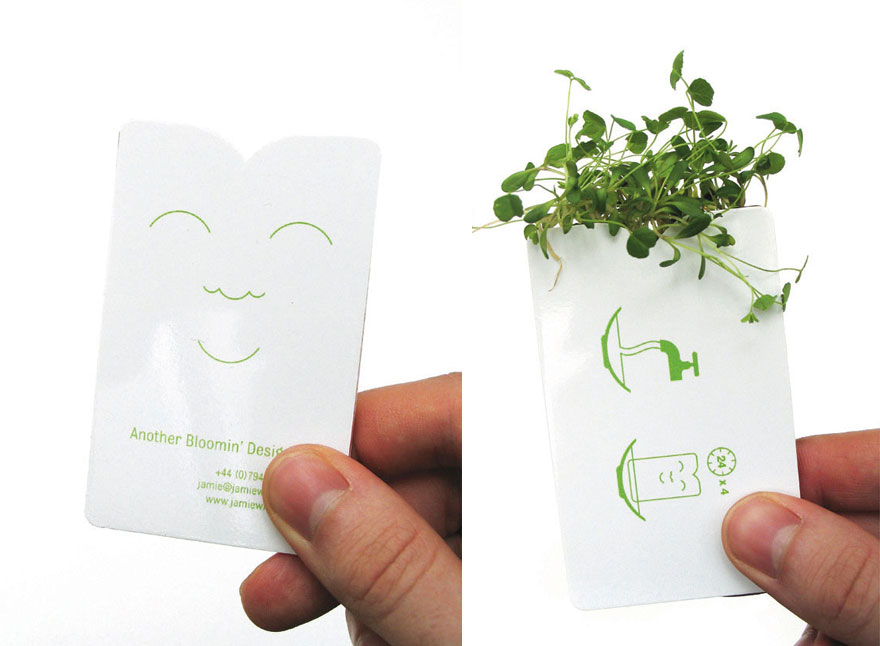 שימו את תחתית כרטיס הביקור במים למשך 4 ימים