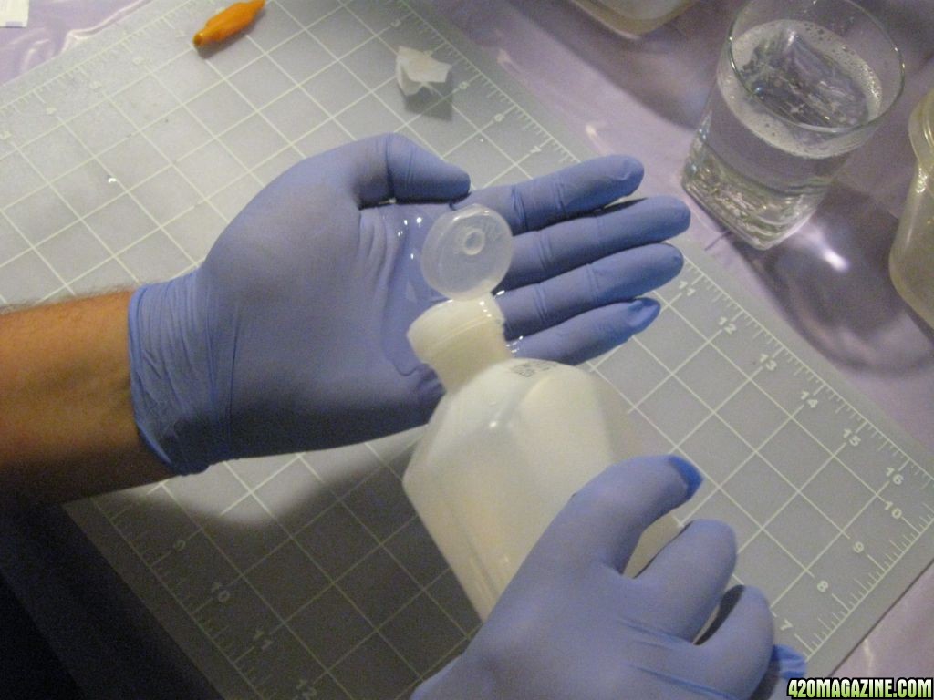 מה צריך לעשות כדי למנוע זיהומים ומחלות בייחורים