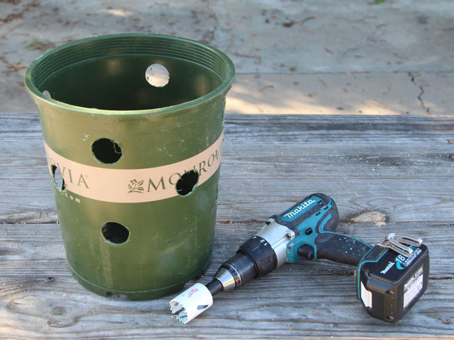 שתילת תותים בסתיו פרוייקט עשה זאת בעצמך