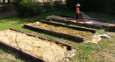 גינת ירק ללא עדירה