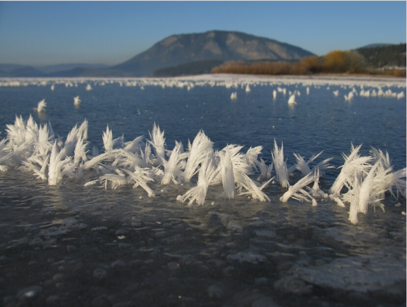מקור תמונה: D'Arcy McLeod