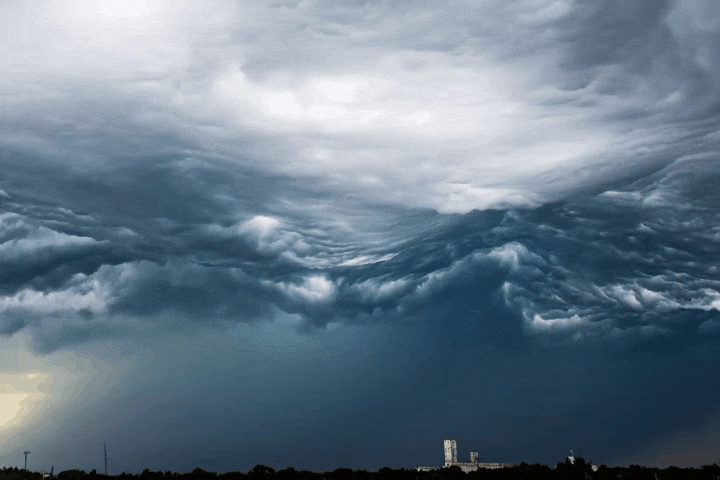 undulatus-asperatus3