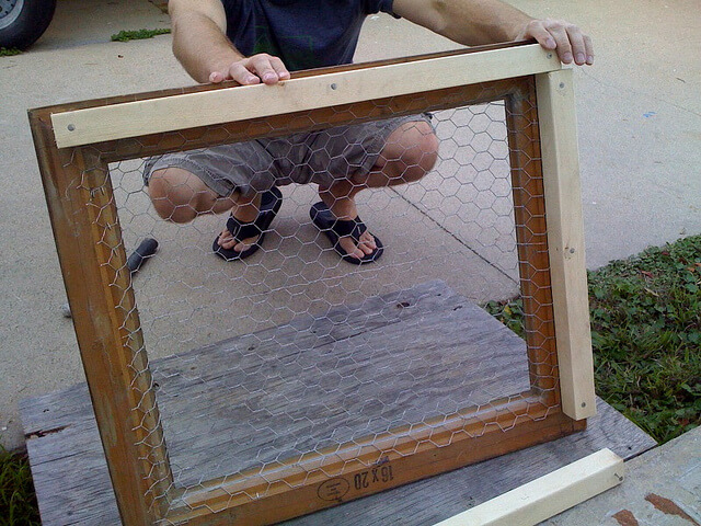 רשת לולים לבניית גינת סוקולנטים