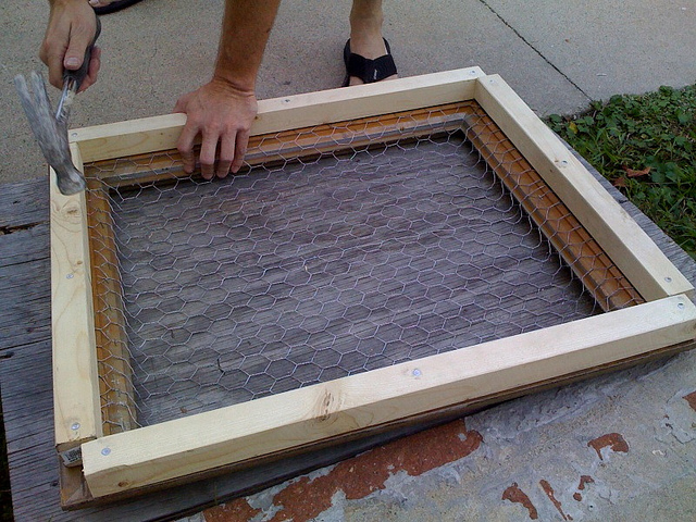 קרדיט: luna-see