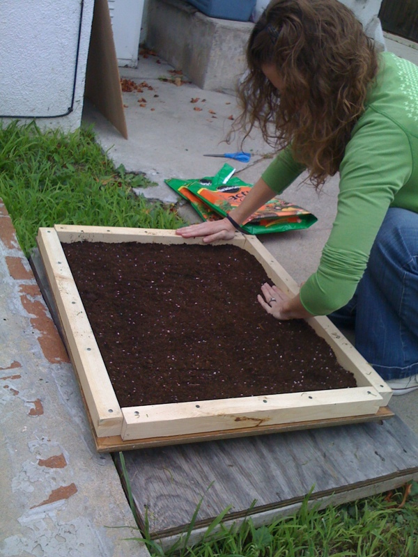 עשה זאת בעצמך בגינה