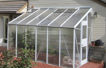 גידול ירקות בחממה ביתית