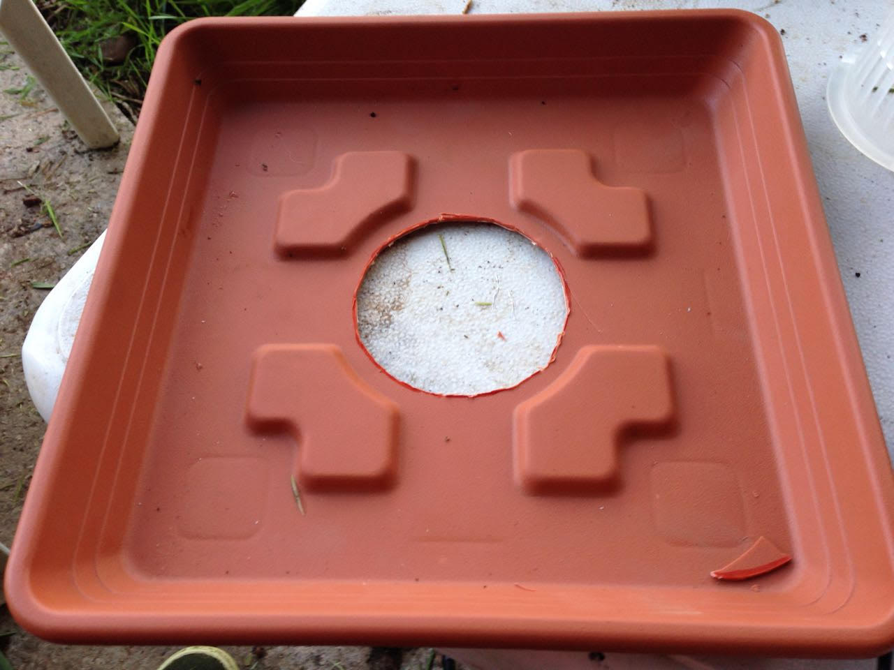 גידול צמחים במרפסת - ערפל