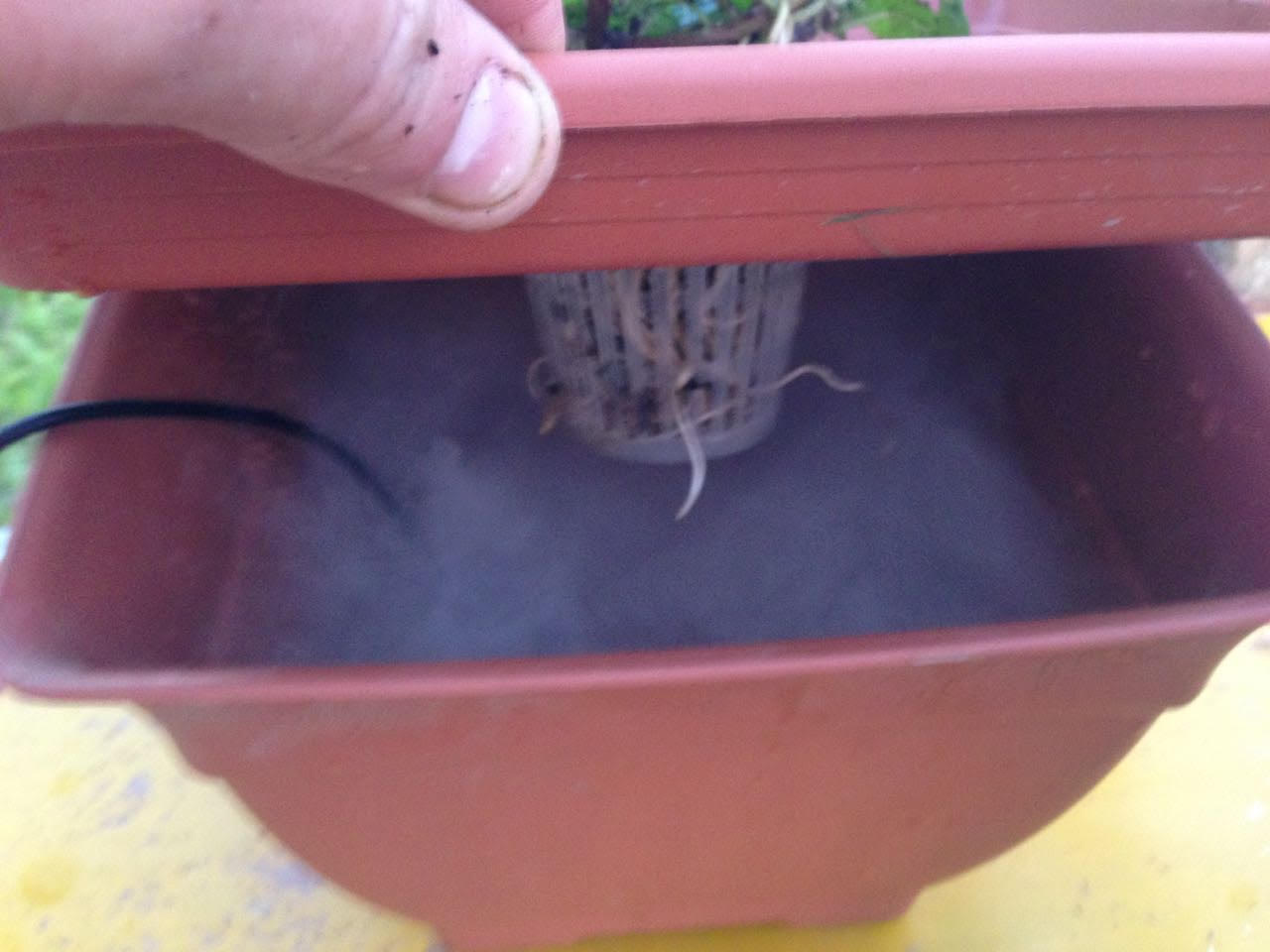 ערפל מועשר בדשם הידרופוני