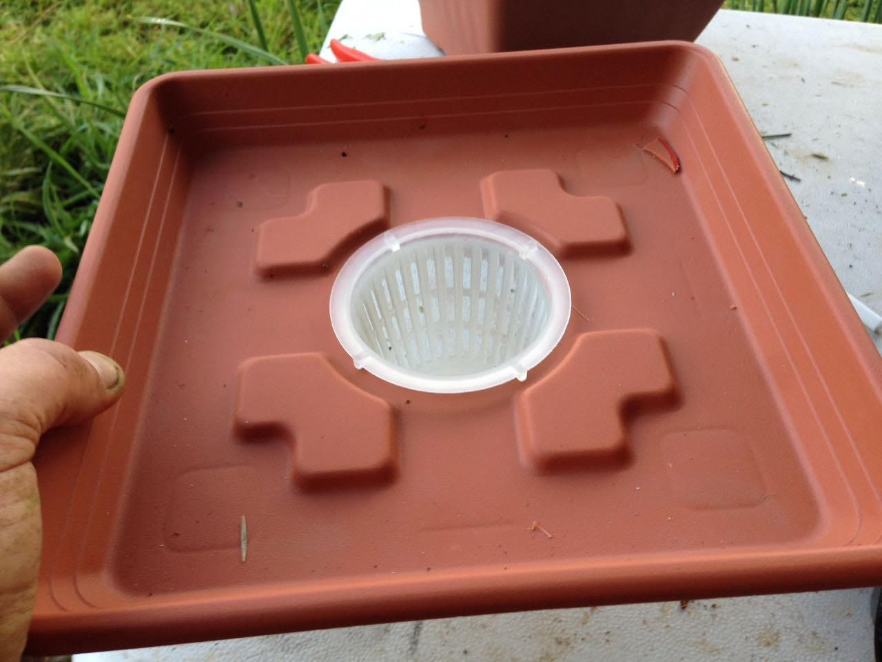 מדריך גידול הידרו