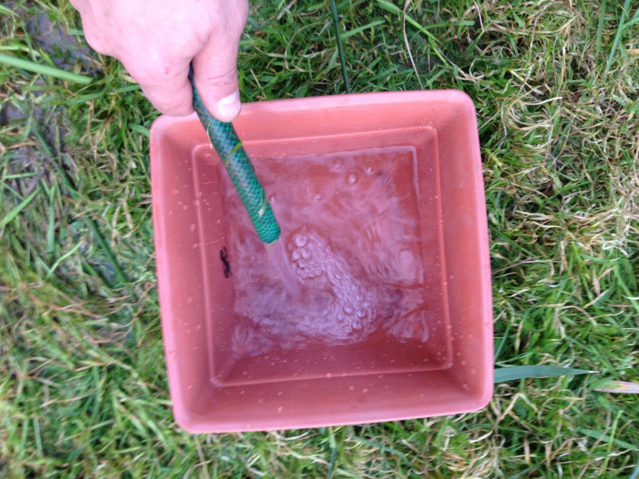 תחזוקה הידרופוניקה