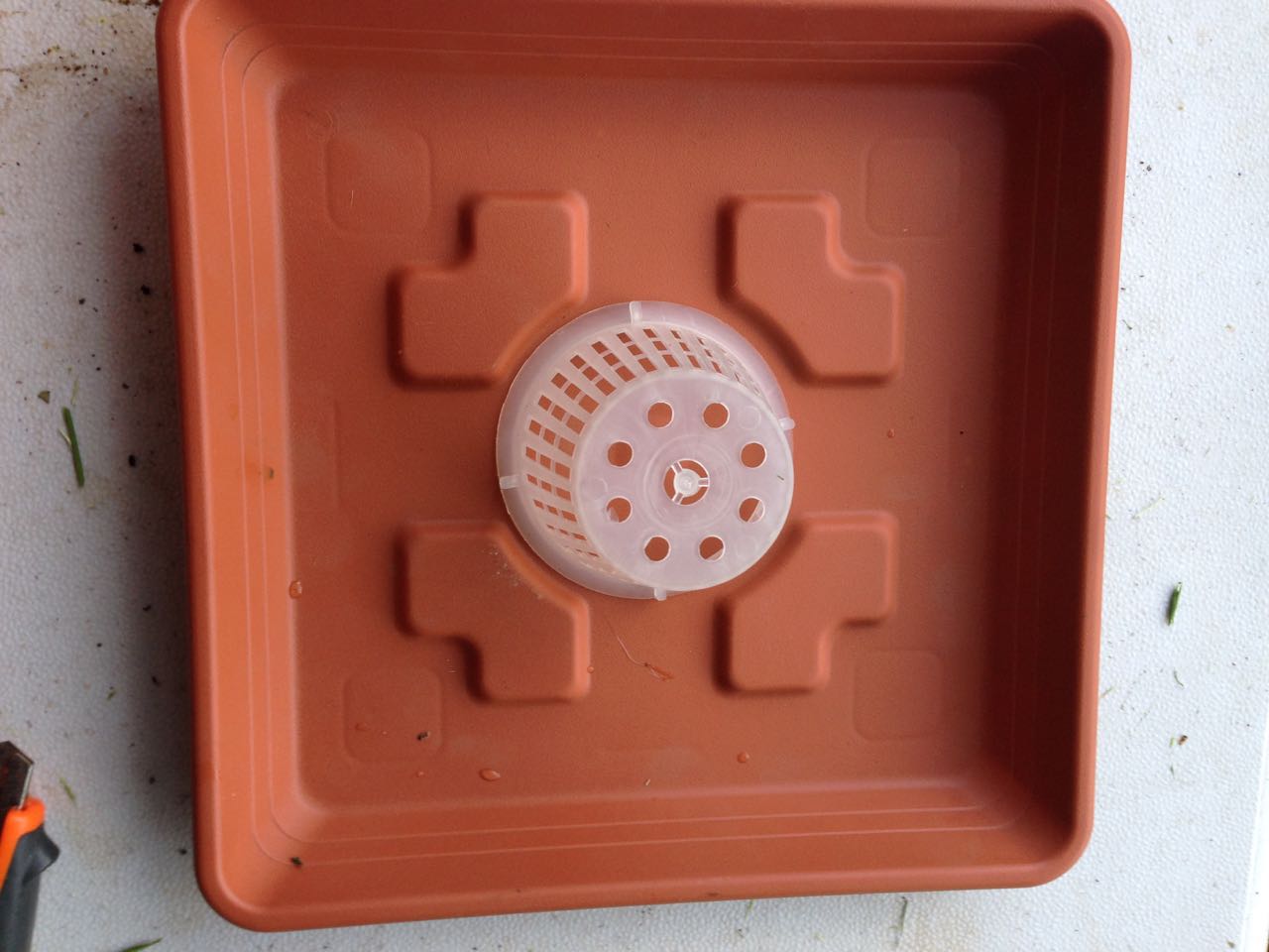 מדריך עשה זאת בעצמך גידול הידרו