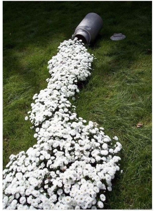 עשה זאת בעצמך בגינה