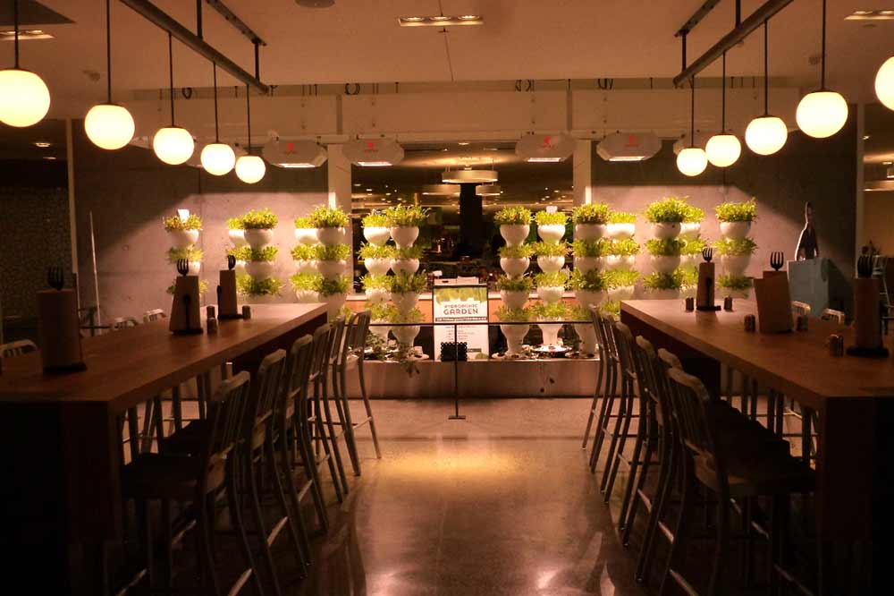 חקלאות מתקדמת במייקרוסופט