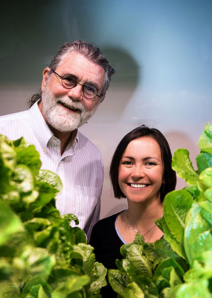 גידול מזון חקלאות עירונית מערכת הידרופונית מיקרוסוםט