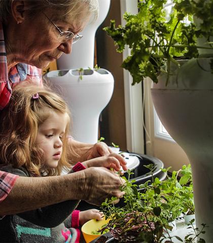 חקלאות עירונית הידרופוניקה