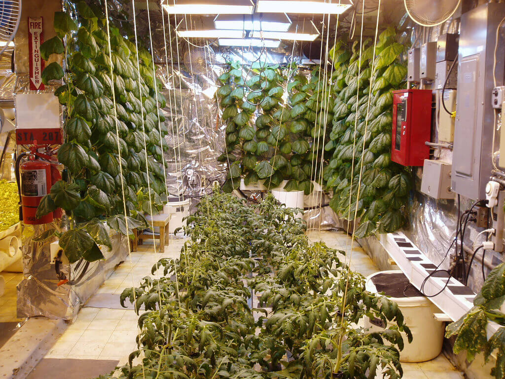 הידרופוניקה באנטרקטיקה - חדר הגידול של התחנת מחקר