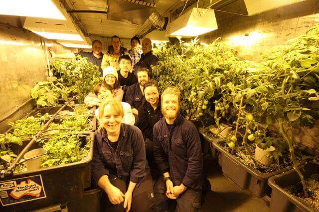 אנשי הצוות בחווה ההידרופונית באנטקרטיקה