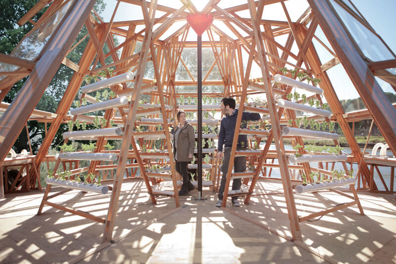 דוברת המדוזות - גידול הידרופוני על מים