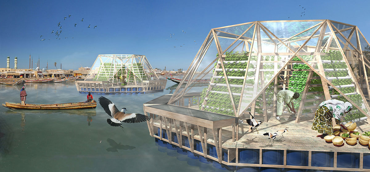 דוברת המדוזה - הידרופוניקה על מי מלח