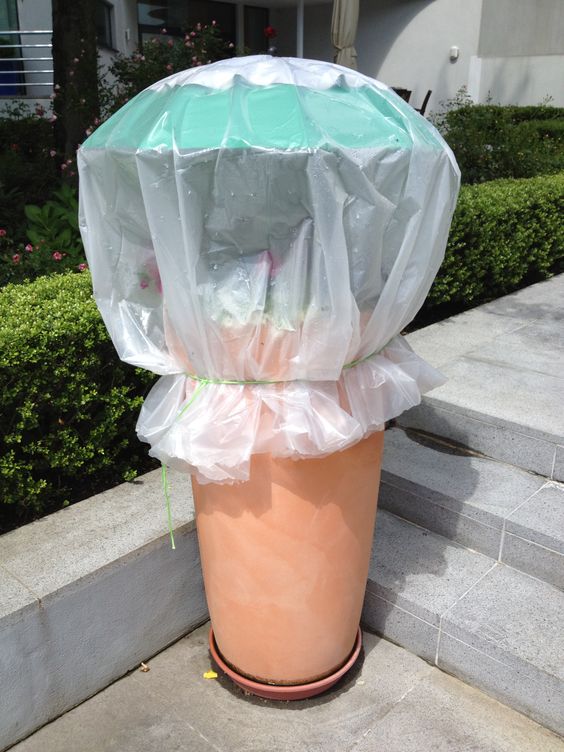 קרדיט: Brollys הגנה לעציץ אהוב לזמנים קיצוניים של ברד ורוחות