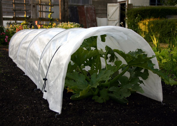 עשה זאת בעצמך: 7 חממות ביתיות וכיסויים לצמחים להגנה מפני נזקי החורף