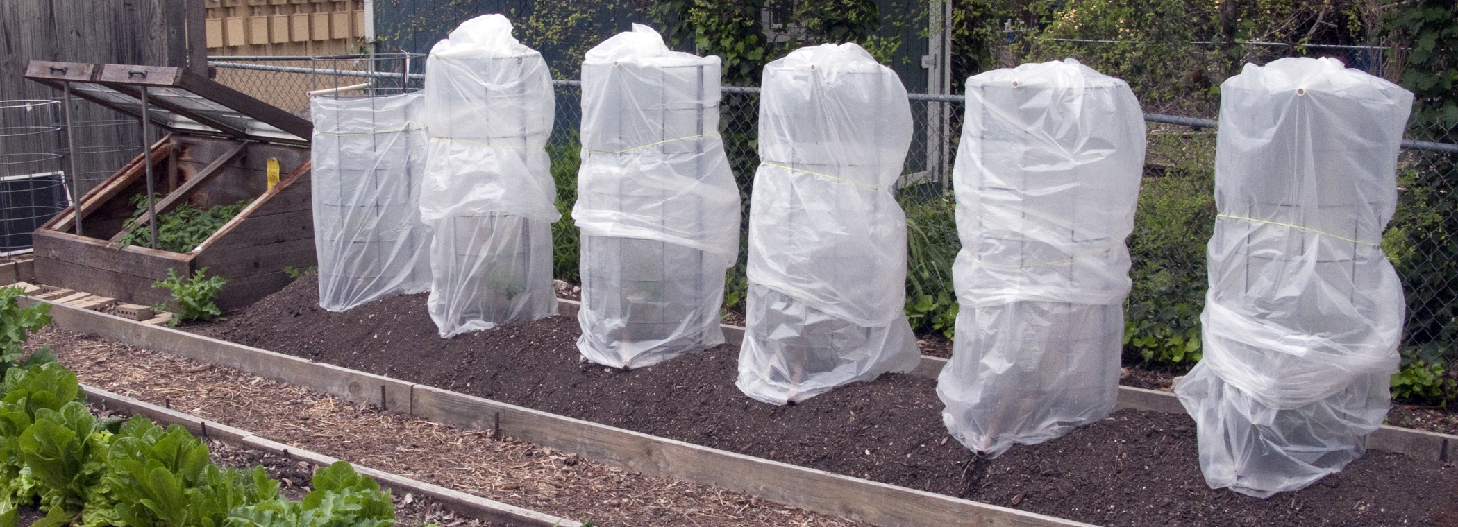 קרדיט: masterofhort מומלץ לא לסגור את הניילון לאורך זמן