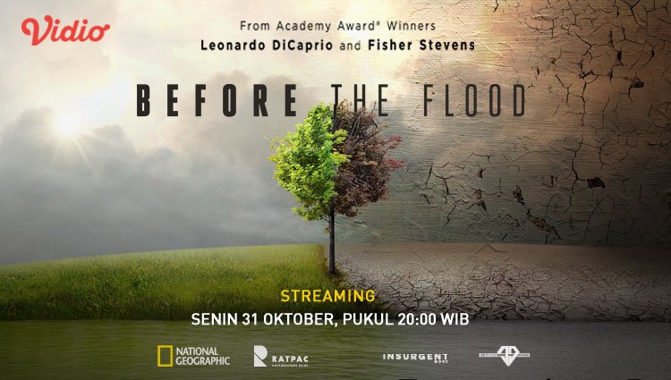 דוקומנטריה סביבתית אקולוגיה