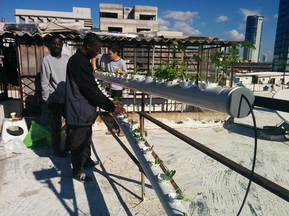 מערכת הידרו