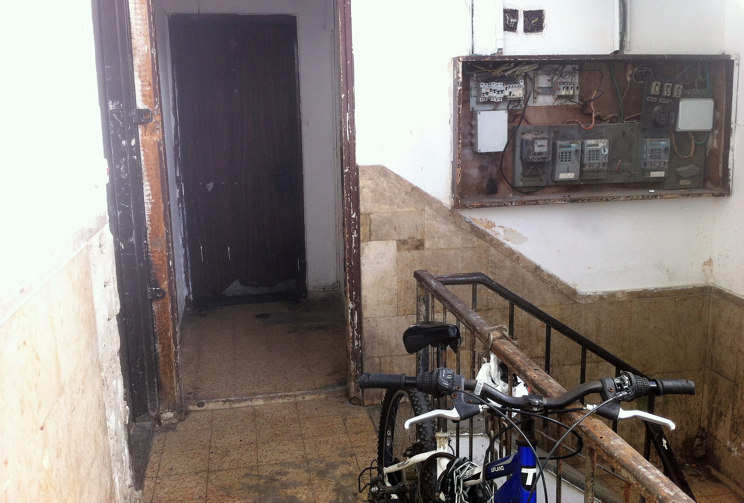 הידרופוניקה על גג בניין מהגרים בתל אביב