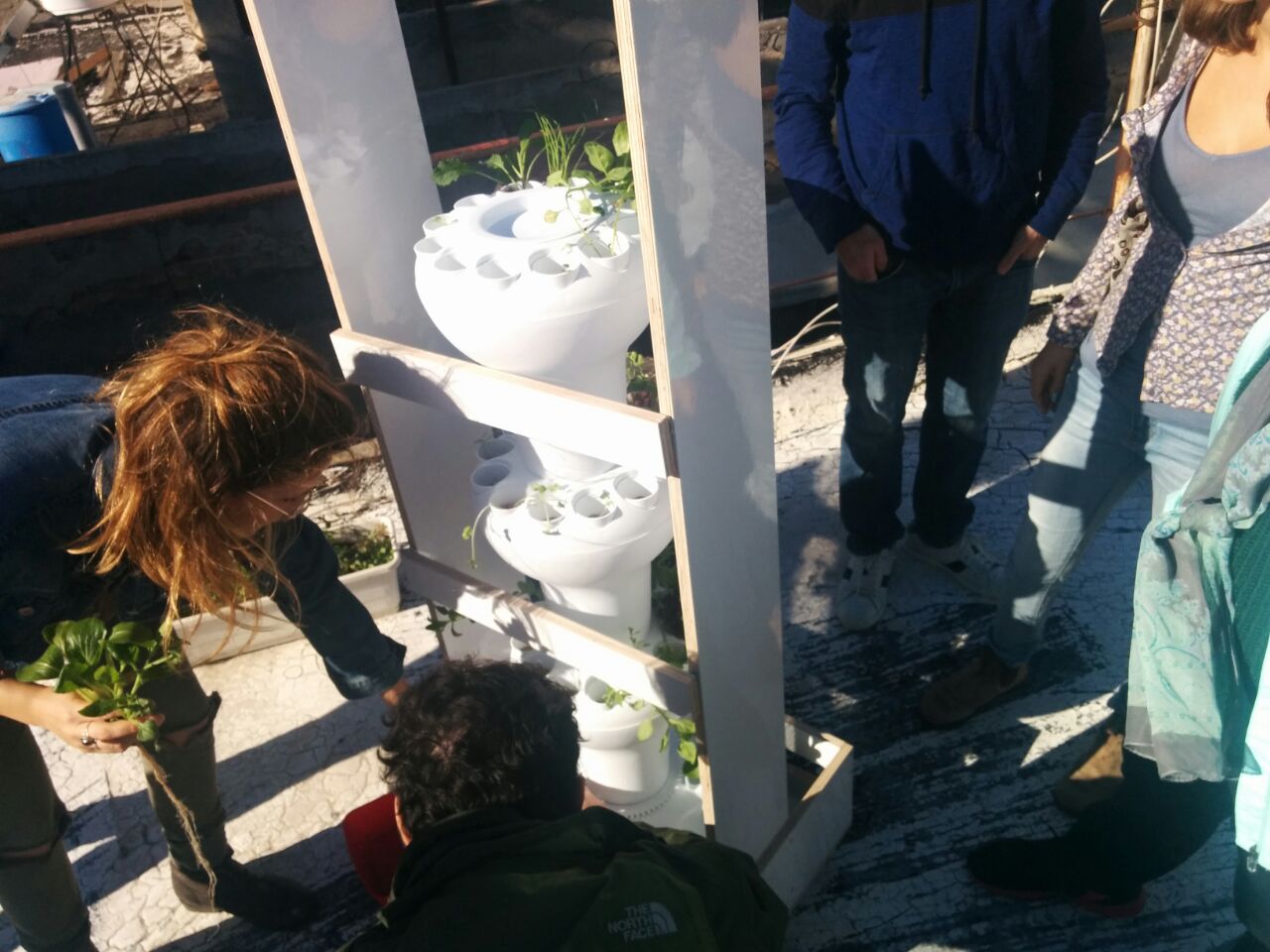 על הגג בנווה שאנן