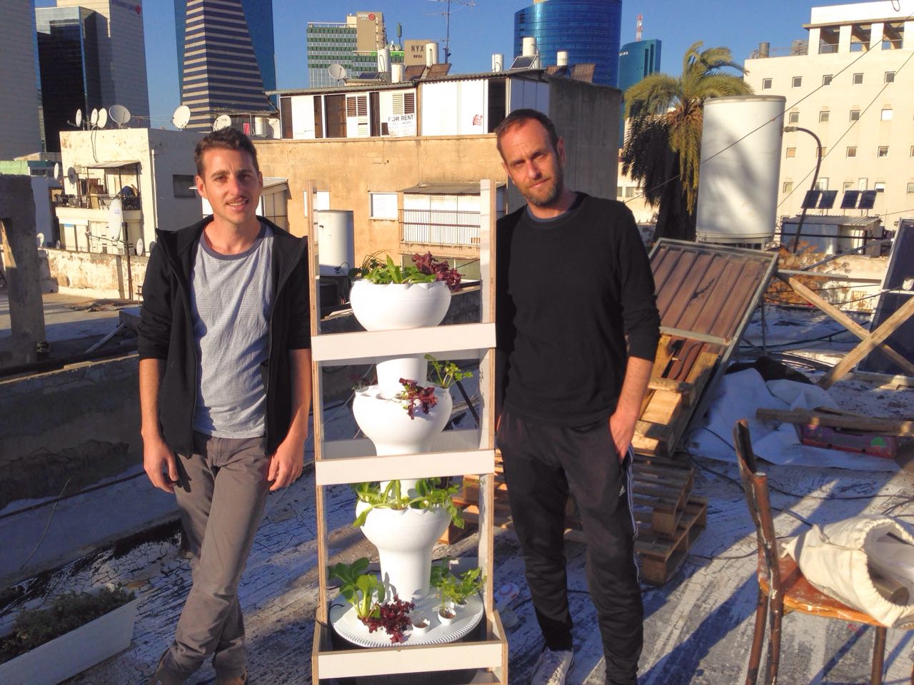 חקלאות עירונית