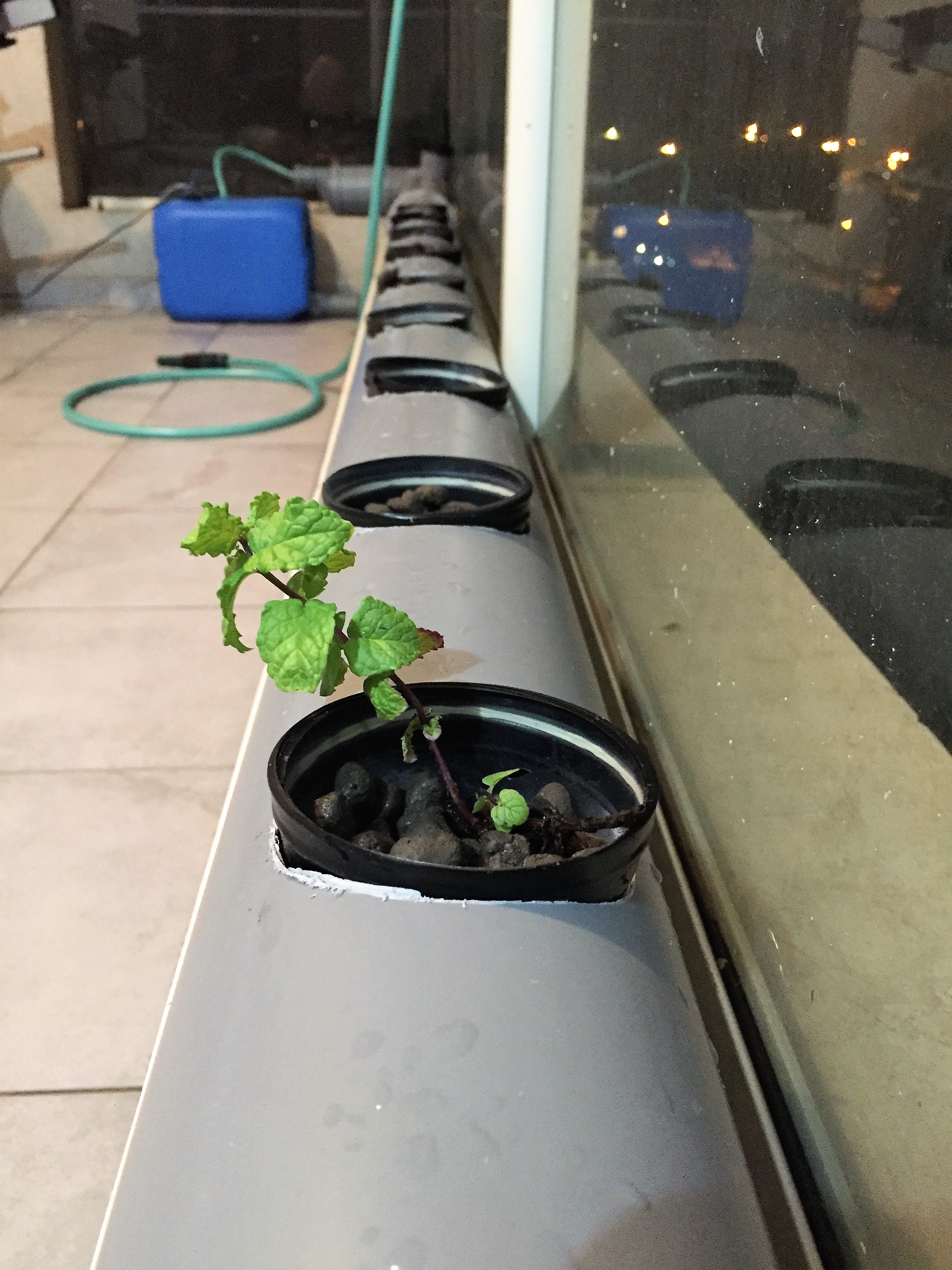 מערכת הידרופונית בבנייה עצמית DIY