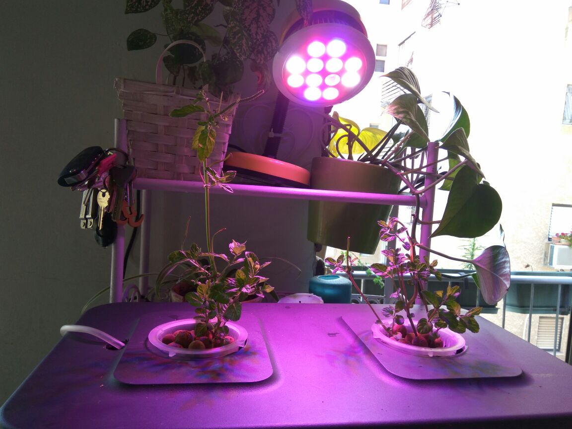 ערכת מים עמוקים - DWC