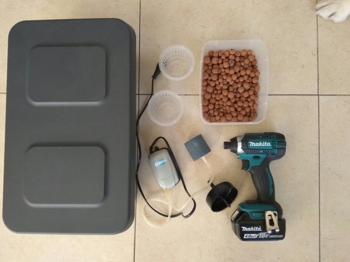 מדריך הידרופוני עשה זאת בעצמך