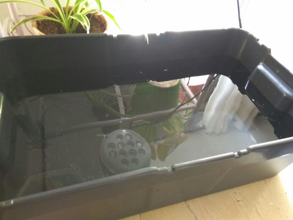 מלאו דשן אזנו חומציות