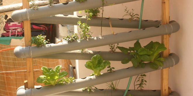 מערכת הידרופונית